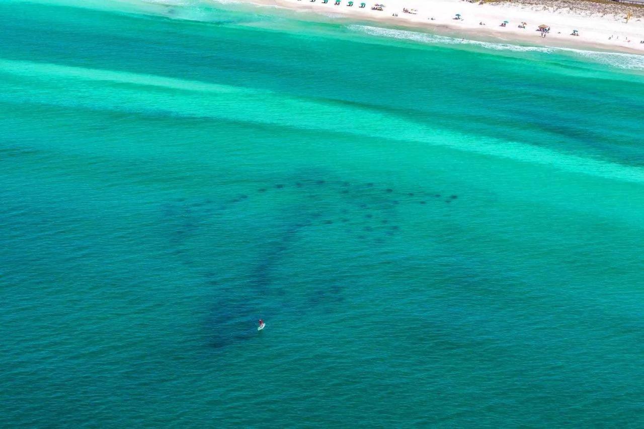 Beach Haven- Beach Pointe 703 Destin Kültér fotó